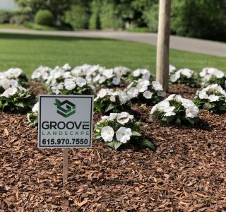 Groove Landscape, Groove Construction, landscape services, lawn care services, Nashville, Middle Tennessee