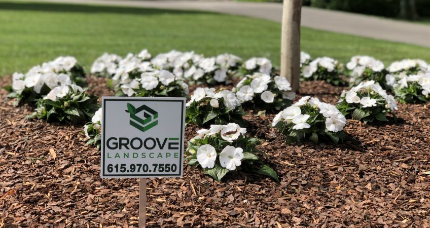 Groove Landscape, Groove Construction, landscape services, lawn care services, Nashville, Middle Tennessee